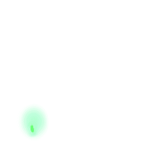 Signal