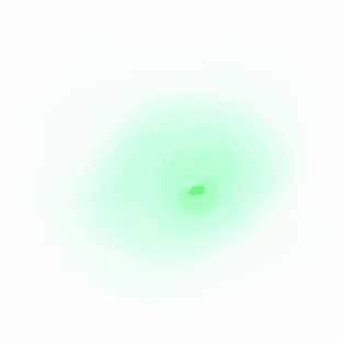 Signal